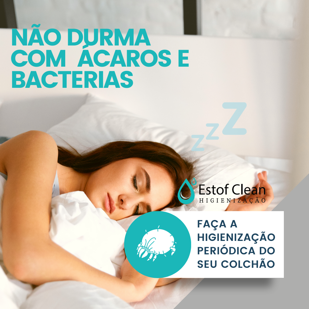 Limpeza Sofá Estof Clean Higienização