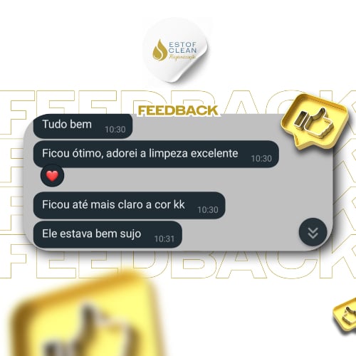 HIGIENIZAÇÃO E IMPERMEABILIZAÇÃO DE ESTOFADOS - FEEDBACK (1)