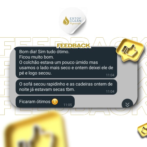 HIGIENIZAÇÃO E IMPERMEABILIZAÇÃO DE ESTOFADOS - FEEDBACK (2)
