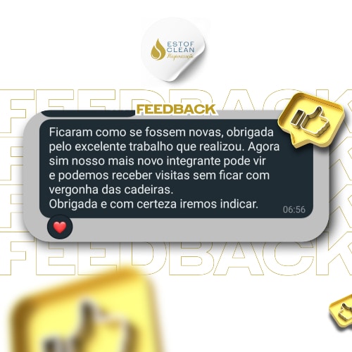 HIGIENIZAÇÃO E IMPERMEABILIZAÇÃO DE ESTOFADOS - FEEDBACK (3)