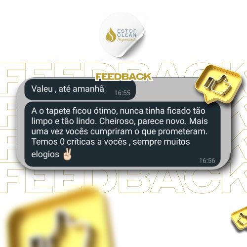 HIGIENIZAÇÃO E IMPERMEABILIZAÇÃO DE ESTOFADOS - FEEDBACK (4)