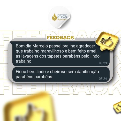 HIGIENIZAÇÃO E IMPERMEABILIZAÇÃO DE ESTOFADOS - FEEDBACK (5)